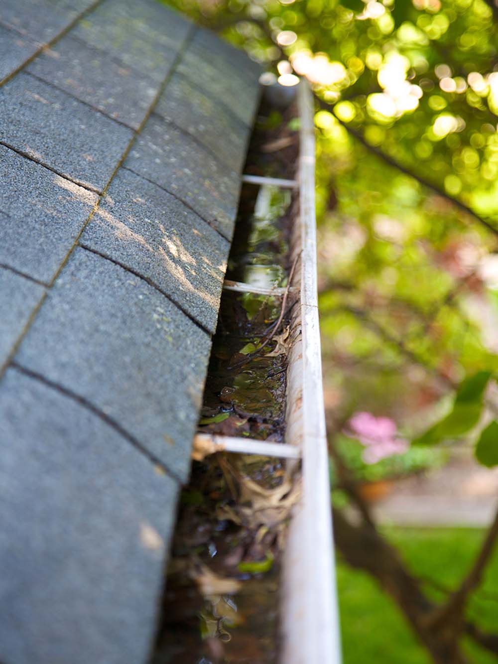 Gutter Cleaning